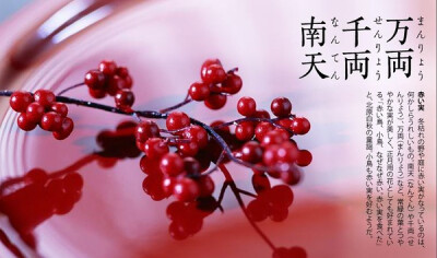 日本の农历一年