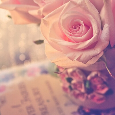 其实不喜欢摘下来的花，因为没了生命力