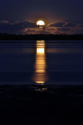 Moonrise over Cabbage Tree Point