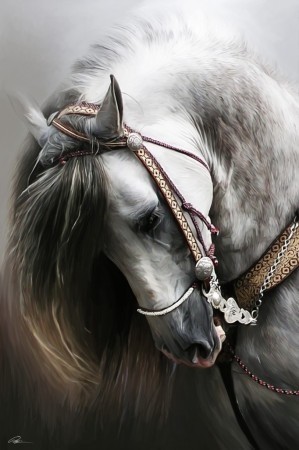 Stunning Horse