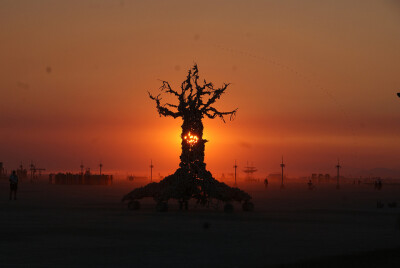 Bone tree dawn