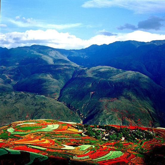 云南東川，其實(shí)是由紅紅的土地與綠綠的青稞....