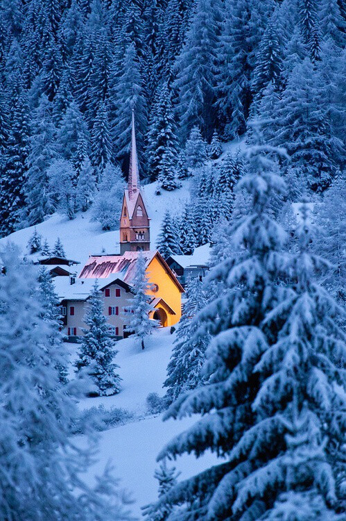 雪山森林，意大利Dolomites