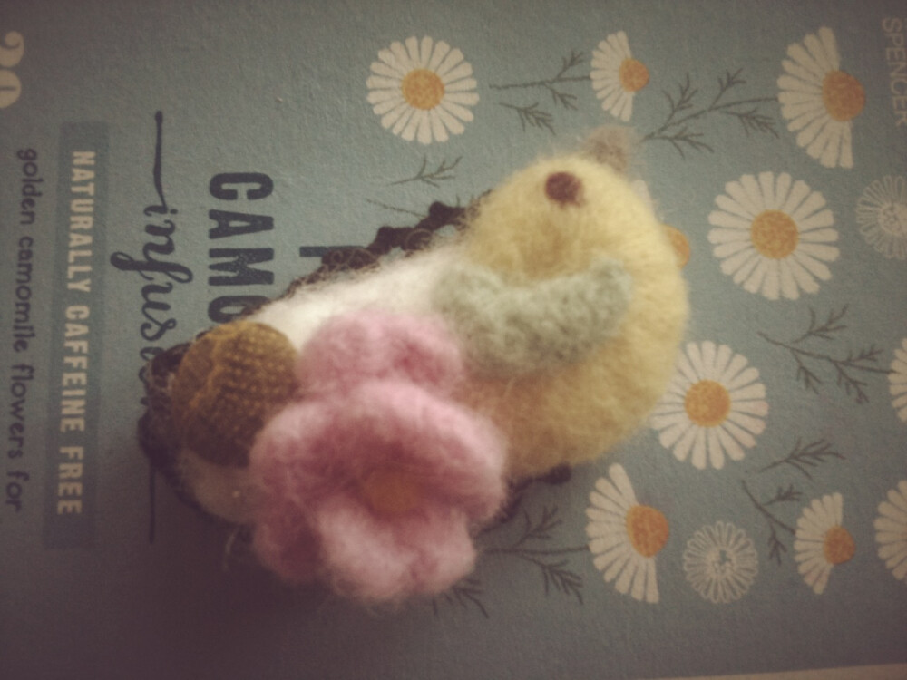 羊毛毡小鸟儿，希望你喜欢