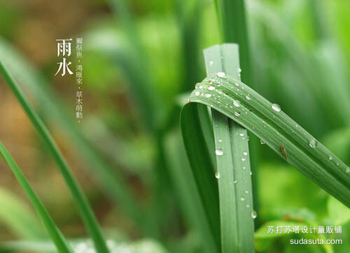 雨水——獭祭鱼、鸿雁来、草木萌动