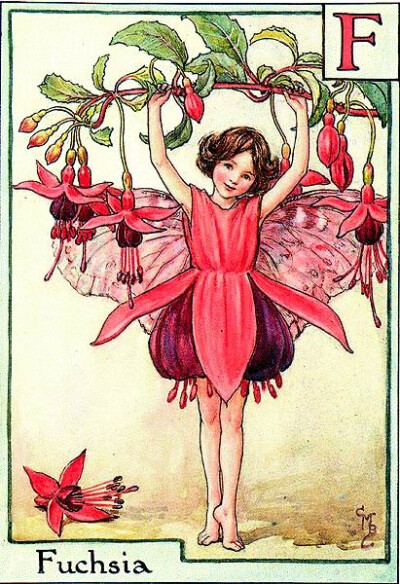 Fuchsia.插画师：Cicely Mary Barker