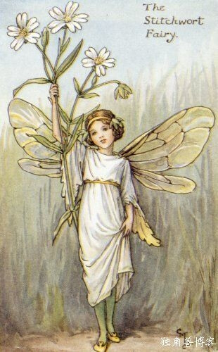 The Stichwort Fairy.插画师：Cicely Mary Barke