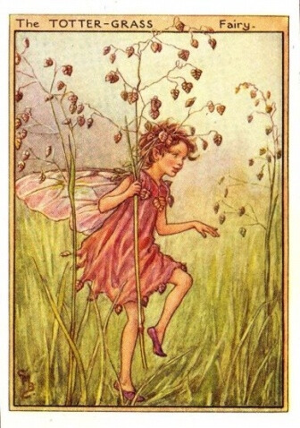 The TOTTER-GRASS Fairy.插画师：Cicely Mary Barke