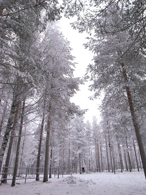 【聖誕老人村Santa Claus Village】位在芬蘭城市Rovaniemi羅瓦涅米，被芬蘭人認為是聖誕老人的居所，於是在以北8公里外的北極圈上，建立聖誕老人村，是一組木建築群，包括有正門的尖頂、餐廳、花圃、聖誕老人辦公室、居所、郵局、購物商場、鹿園等。聖誕老人概念起源於4世紀一位主教Saint Nicholas悄悄送禮給聖徒，傳進英語成為Santa Claus也就相應的成為聖誕老人的人物。聖誕節前夕，許多國家的孩子們寄信給聖誕老人，希望自己收到聖誕禮物，現在許多歐美國家的郵局，為免讓孩子失望設立專人回覆來自世界各地的信件，其中最熱門的就是芬蘭http://www.duitang.com/people/mblog/52573839/detail/