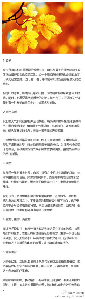 【5条秋日摄影小贴士】对摄影者来说，一年之际在于秋~这里有独特的绚烂和美丽的色彩，怎么才能拍出美丽的秋天风景呢？给大家送上拍秋日的小技巧~~~~~ [微时尚精品帐号]想知道怎么拍照，就关注@照片儿这样拍 （图片来自互联网）