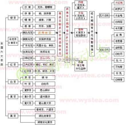 最全的茶叶的分类，以后买茶叶不用愁了