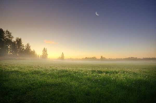 芬兰插画设计师和摄影师Mikko Lagerstedt