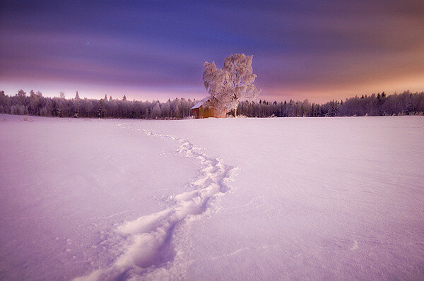 芬兰插画设计师和摄影师Mikko Lagerstedt