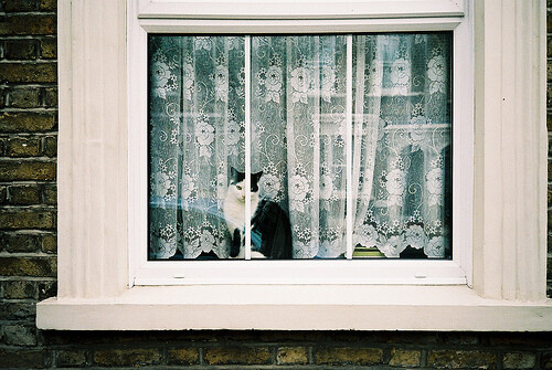 主人什么时候回家？