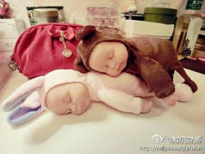 小熊和小兔