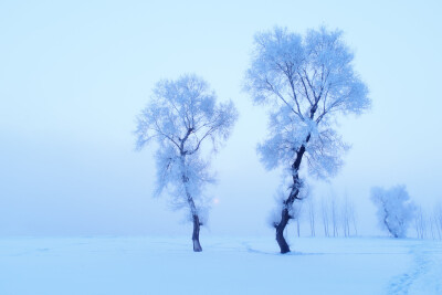 雪