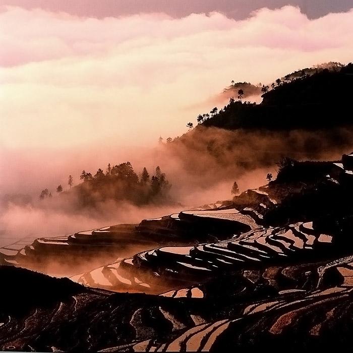 云和梯田景区