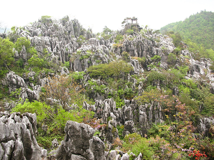 千岛湖石林