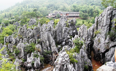 千岛湖石林