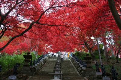 神奈川县伊势原市，大山红叶。摄影by スミレ。 大山（おおやま）就是这座山的名字。