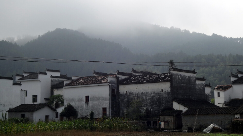 思溪延村。整个村落以明清古建筑为主，村落内以青石板铺地，古建群 背靠青山，面临清溪和稻田，四周都是绿地，村庄与秀水青山的 优雅自然风光融为一体。