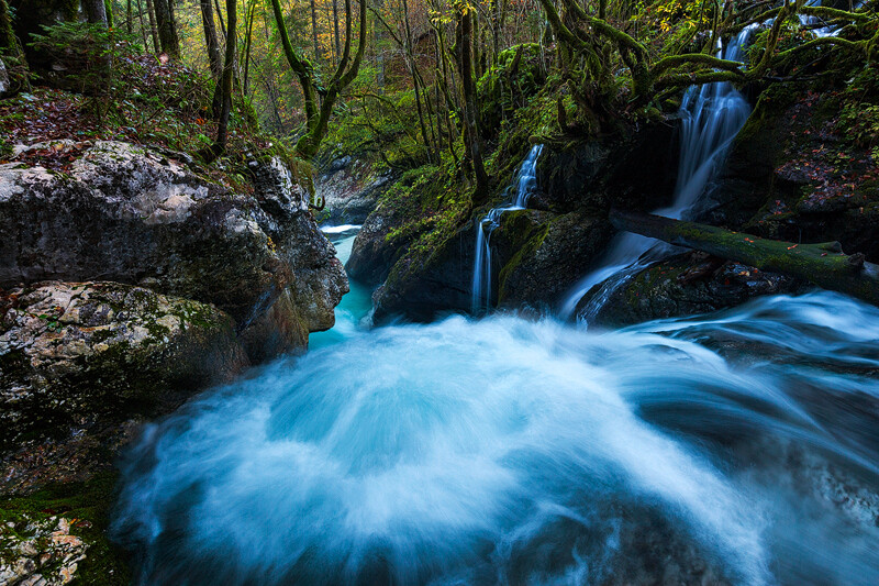 Photograph Slovenian Rainforest by Tobias Richter on 500px