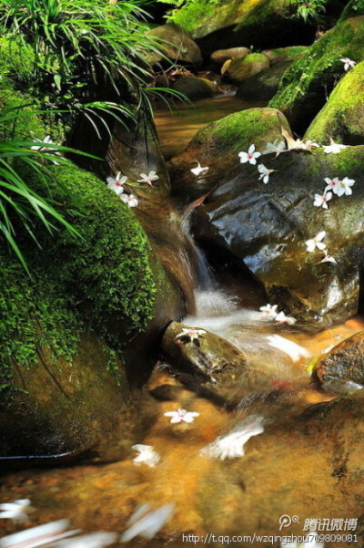 落花有意随水流，流水无心恋落花。