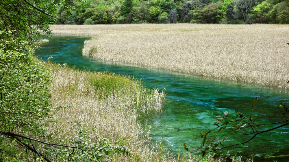 九寨沟翡翠河