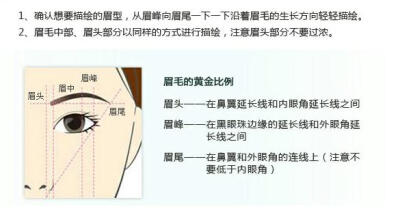 眼睛的穴位图