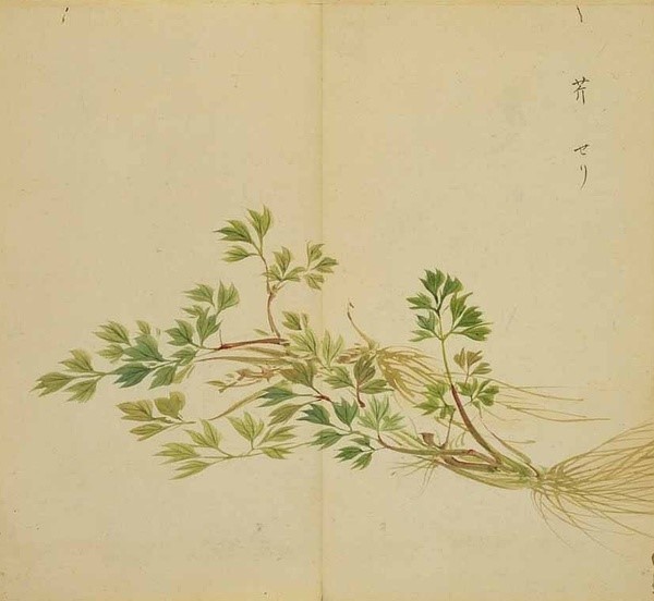 《诗经名物图解》