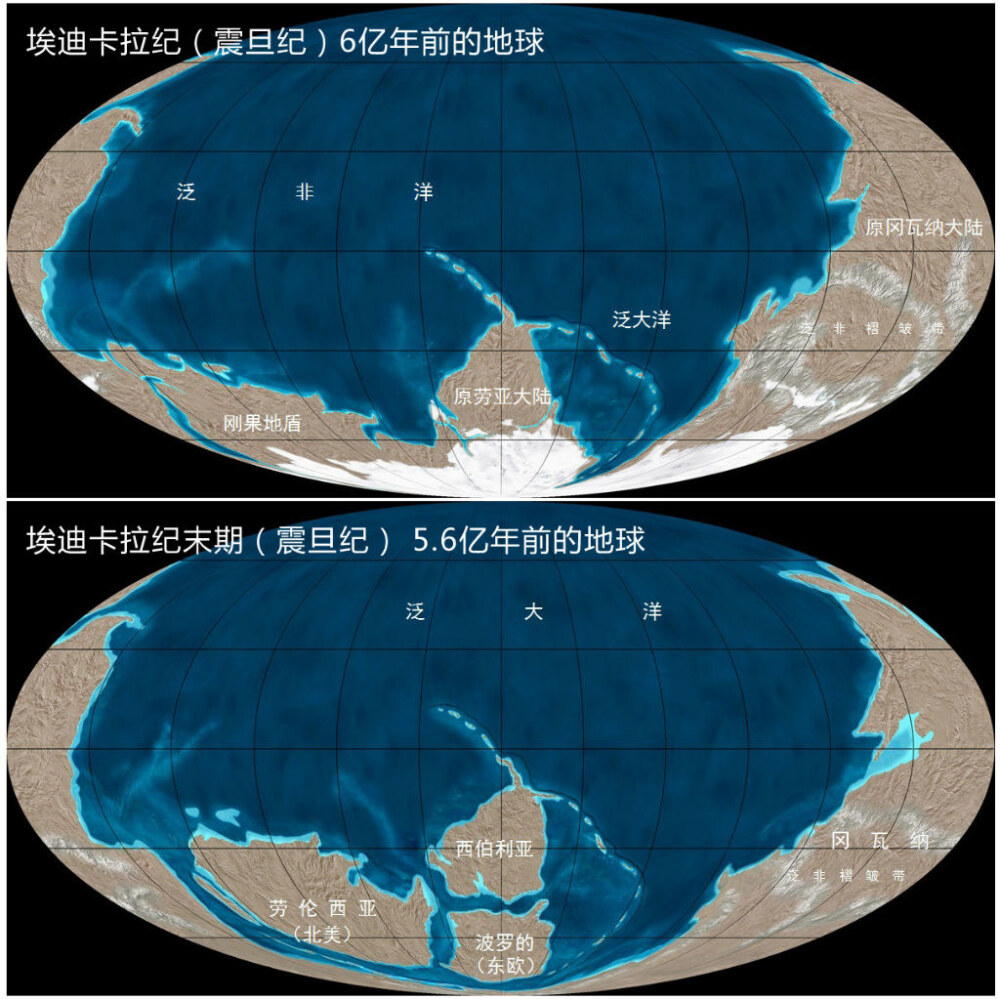 震旦纪符号图片