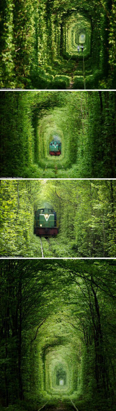 乌克兰的“爱之隧道” Tunnel of Love 一条地球上最美的火车隧道被誉为当地的爱情圣地。一对情侣慢慢走过，在这里许下的承诺应该毕生难忘…