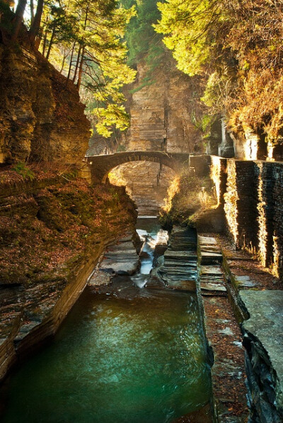 Canyon Bridge, Newfield, New York