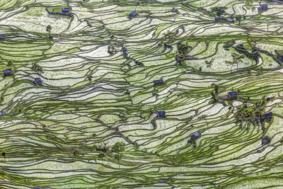 元阳Photograph Ricefield Patterns #5 by Chaluntorn Preeyasombat on 500px