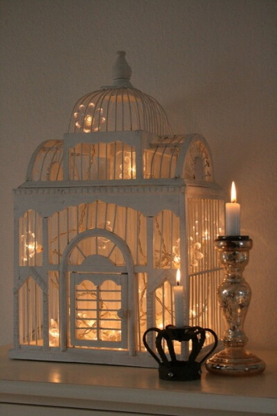 bird cage and twinkle lights