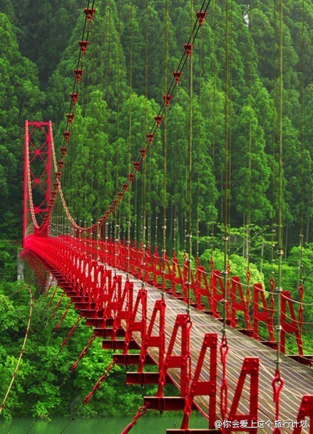 日本的红桥，以绿色为背景，红色是如此的耀眼，走在这一定会忘掉很多烦恼