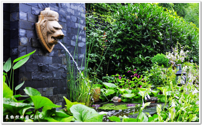 2012园艺大赛24号参赛作品鈥斺斨种惨黄ㄔ埃焦嘁淮π牧