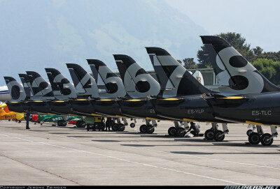 Aero L-39C Albatros aircraft picture