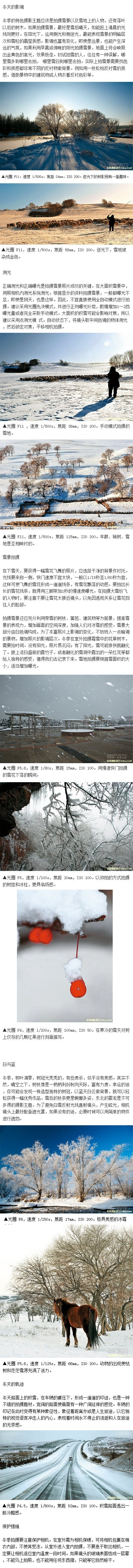 4招展现冬天的纯白无瑕之感