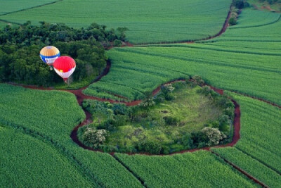 南美的农田和丛林，还有惊喜的big heart..摄影师Vicente Sampaio作品（摄于：2008年2月17日，巴西）