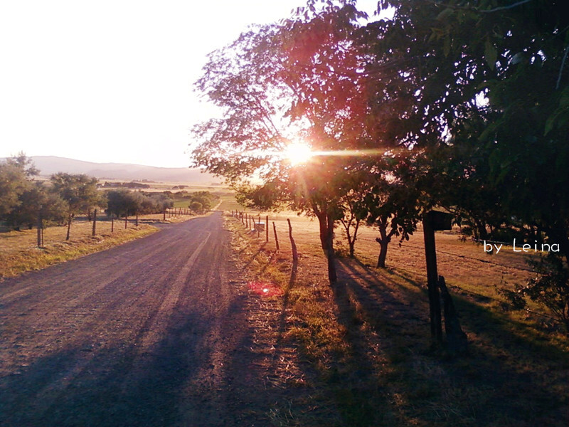 Take me home, country road.