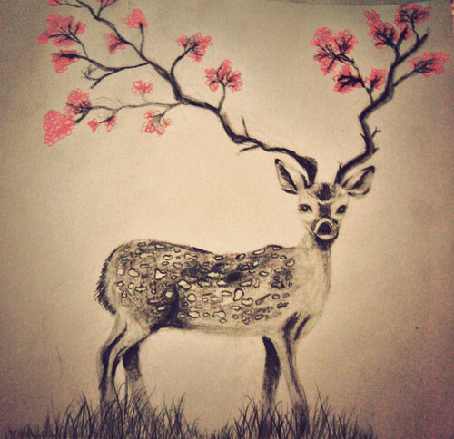 oh,my deer、deer、鹿