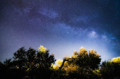 Mikko Lagerstedt 星星满天飞