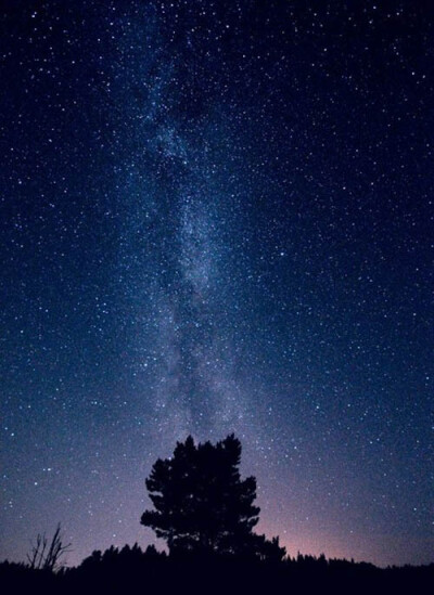 Mikko Lagerstedt 星星满天飞