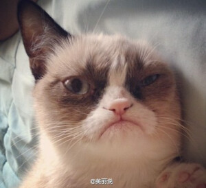 你永远不会知道那个突然对你发火的人，已经忍过你多少次。