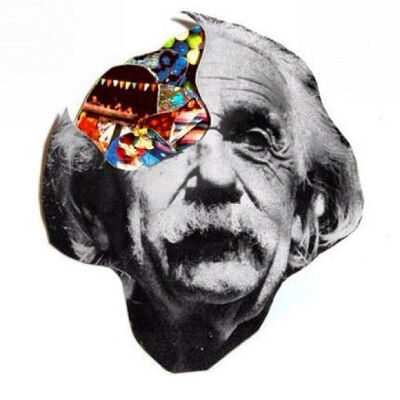 Einstein 的大脑
