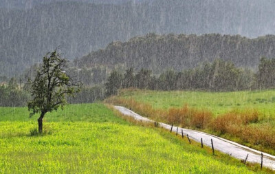 潇湘雨