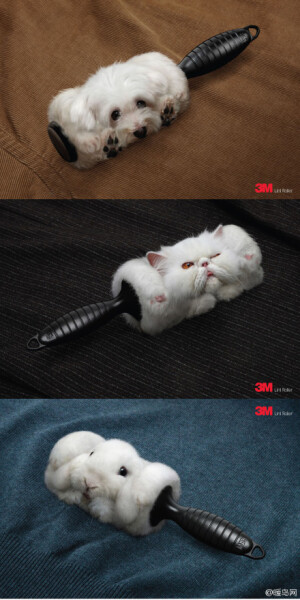 #暖设计#无论是猫毛、狗毛还是兔毛，3M LINT ROLLER PETS都能帮你解决干净，这除毛滚筒的功力还真强。