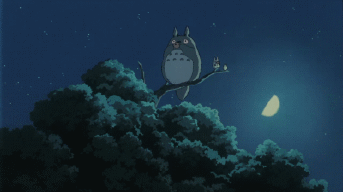 totoro