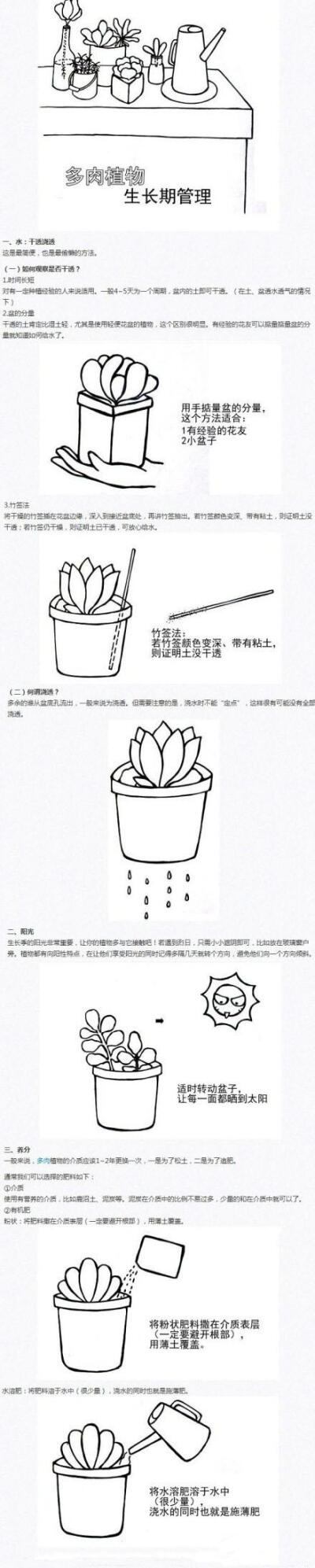 【多肉植物的生长期栽培】童鞋们样的多肉植物总觉得不尽如人意~~下面就教大家一些打理的方法哦~~一起来学习一下吧